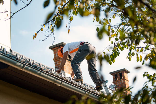 Best Chimney Flashing Repair  in Madison, WV