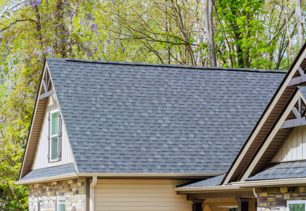 Best Sheet Metal Roofing  in Madison, WV